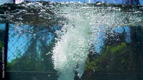 water and bubbles in nature in sunny summer light texture and abstraction slow motion video water under pressure