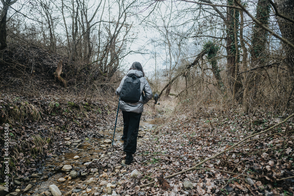 Naklejka premium Person hiking along a natural trail surrounded by bare trees and a rocky stream, depicting adventure, solitude, and connection to nature during a peaceful outdoor excursion.