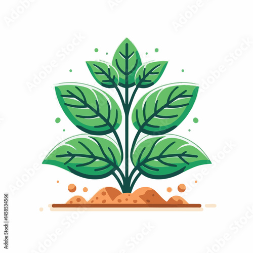 herb, fresh, leaf, green, basil, italian, background, herbal, food, raw, healthy, isolated, culinary, vegetarian, ingredient, vegetable, white, natural, organic, cooking, spice, closeup, plant, leaves
