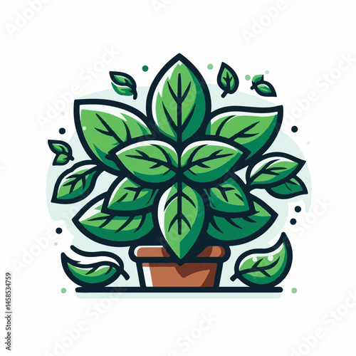 herb, fresh, leaf, green, basil, italian, background, herbal, food, raw, healthy, isolated, culinary, vegetarian, ingredient, vegetable, white, natural, organic, cooking, spice, closeup, plant, leaves