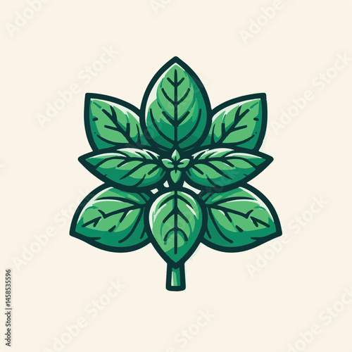 herb, fresh, leaf, green, basil, italian, background, herbal, food, raw, healthy, isolated, culinary, vegetarian, ingredient, vegetable, white, natural, organic, cooking, spice, closeup, plant, leaves