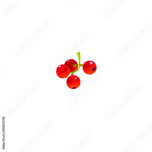 Red currants fruit icon logo flat vector design