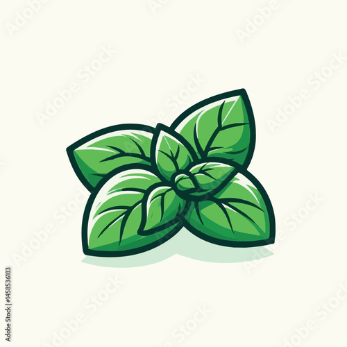 herb, fresh, leaf, green, basil, italian, background, herbal, food, raw, healthy, isolated, culinary, vegetarian, ingredient, vegetable, white, natural, organic, cooking, spice, closeup, plant, leaves