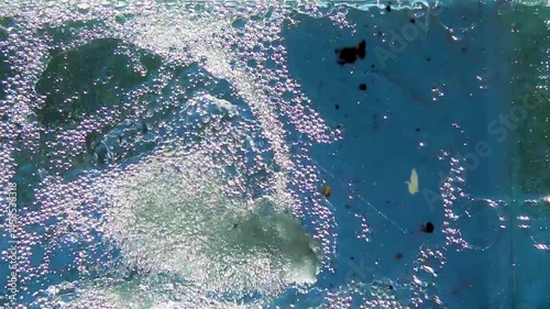 water and bubbles in nature in sunny summer light texture and abstraction slow motion video water under pressure