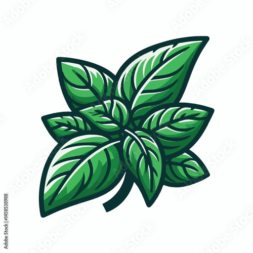 herb, fresh, leaf, green, basil, italian, background, herbal, food, raw, healthy, isolated, culinary, vegetarian, ingredient, vegetable, white, natural, organic, cooking, spice, closeup, plant, leaves