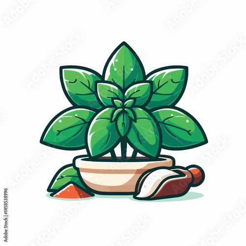 herb, fresh, leaf, green, basil, italian, background, herbal, food, raw, healthy, isolated, culinary, vegetarian, ingredient, vegetable, white, natural, organic, cooking, spice, closeup, plant, leaves