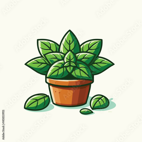 herb, fresh, leaf, green, basil, italian, background, herbal, food, raw, healthy, isolated, culinary, vegetarian, ingredient, vegetable, white, natural, organic, cooking, spice, closeup, plant, leaves