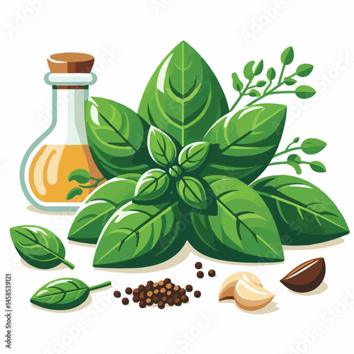 herb, fresh, leaf, green, basil, italian, background, herbal, food, raw, healthy, isolated, culinary, vegetarian, ingredient, vegetable, white, natural, organic, cooking, spice, closeup, plant, leaves