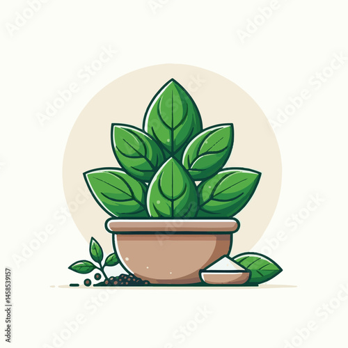 herb, fresh, leaf, green, basil, italian, background, herbal, food, raw, healthy, isolated, culinary, vegetarian, ingredient, vegetable, white, natural, organic, cooking, spice, closeup, plant, leaves