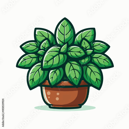 herb, fresh, leaf, green, basil, italian, background, herbal, food, raw, healthy, isolated, culinary, vegetarian, ingredient, vegetable, white, natural, organic, cooking, spice, closeup, plant, leaves
