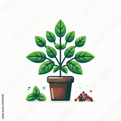 herb, fresh, leaf, green, basil, italian, background, herbal, food, raw, healthy, isolated, culinary, vegetarian, ingredient, vegetable, white, natural, organic, cooking, spice, closeup, plant, leaves