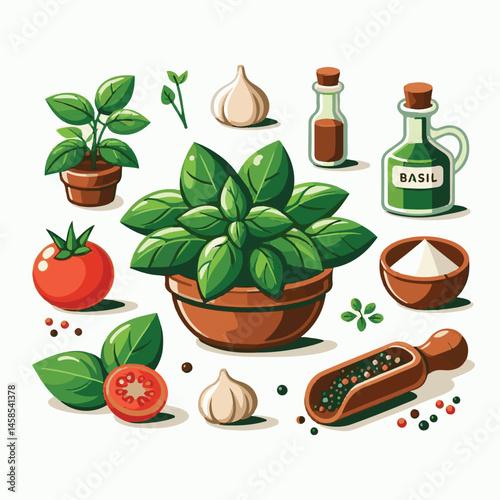 herb, fresh, leaf, green, basil, italian, background, herbal, food, raw, healthy, isolated, culinary, vegetarian, ingredient, vegetable, white, natural, organic, cooking, spice, closeup, plant, leaves