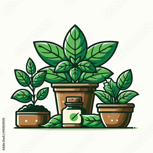 herb, fresh, leaf, green, basil, italian, background, herbal, food, raw, healthy, isolated, culinary, vegetarian, ingredient, vegetable, white, natural, organic, cooking, spice, closeup, plant, leaves