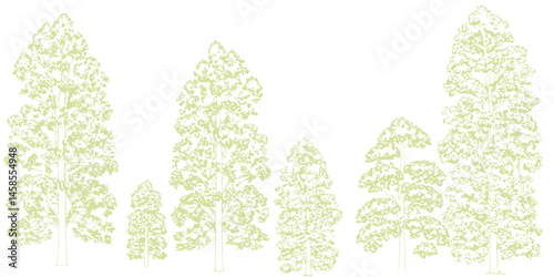 Wallpaper Mural A detailed architectural drawing of a dense forest elevation, featuring a variety of deciduous and coniferous trees with intricate line work and fine textures. Torontodigital.ca
