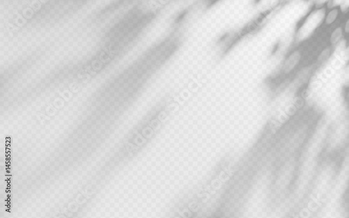 Abstract shadow overlay from tree branch on a transparent background.