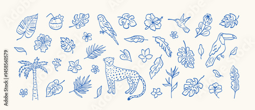 Set of tropical leaves, flowers and wild animal, birds in sketch style. Hand drawn palm, leopard, banana leaf, hibiscus, parrot, exotic plants, plumeria. Minimalist line sketch. Vector illustration.