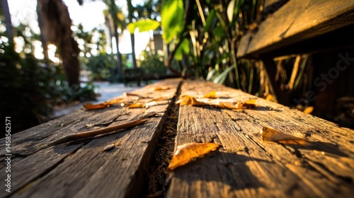 Wooden park bench, autumn leaves