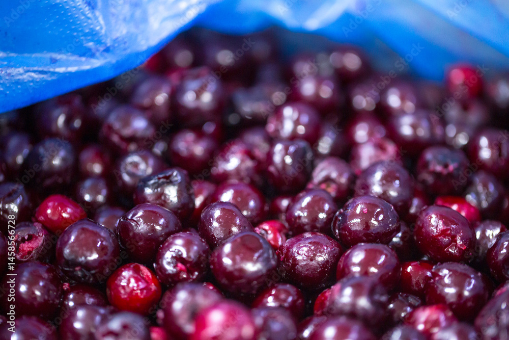Close-up of shock-frozen pitted cherries with a thin ice coating. Are prepared for retail packaging to ensure extended shelf life in supermarkets and maintain perishable harvest quality.