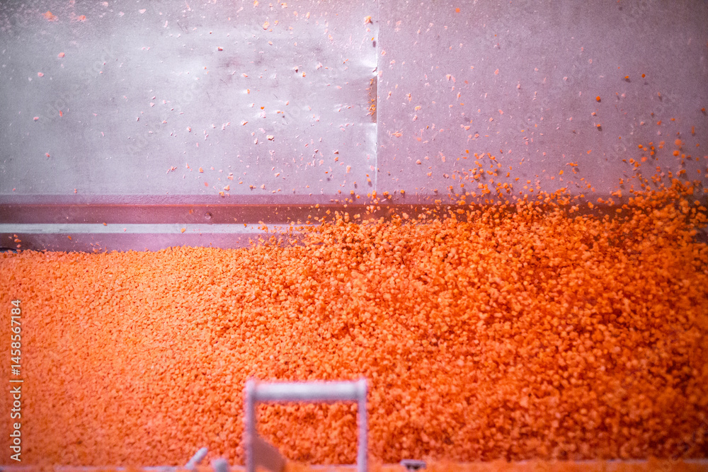 Bright diced carrot pieces move through shock-freezing chamber, while the conveyor belt continuously shakes the dices to prevent them from sticking. Рrepared for retail to ensure extended shelf life.