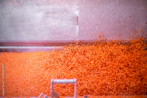 Obraz na płótnie Bright diced carrot pieces move through shock-freezing chamber, while the conveyor belt continuously shakes the dices to prevent them from sticking. Рrepared for retail to ensure extended shelf life. w salonie