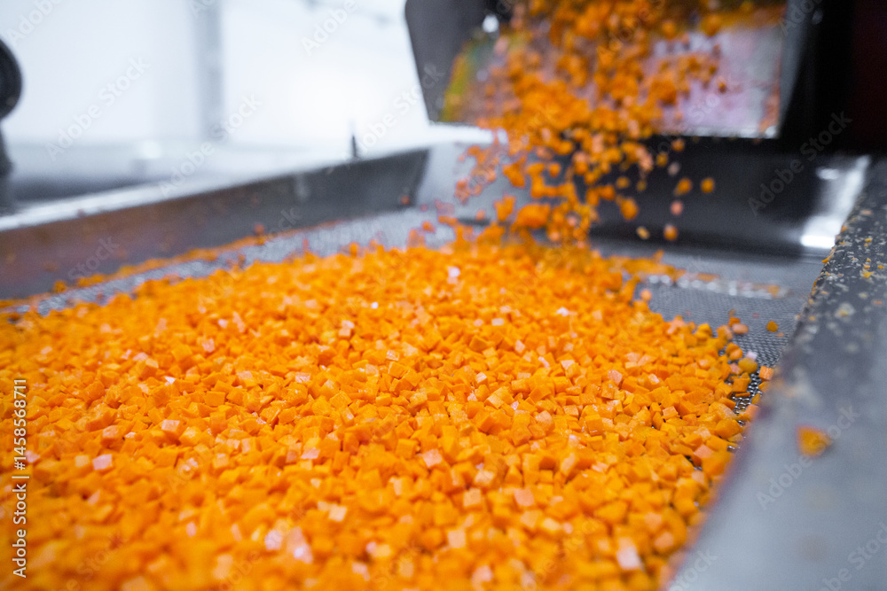 Bright diced carrot pieces fall from the shredder’s collector onto a moving mesh conveyor belt before entering the shock-freezing chamber.
