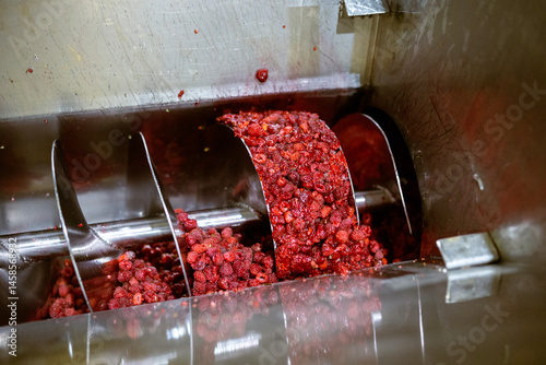 Obraz na płótnie Ripe sweet raspberry fruits in the screw press. Juicy berries are crushed by a food-grade stainless steel screw. The process of making berry jam. w salonie
