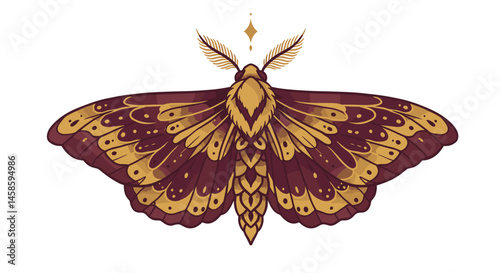 Blackwork tattoo icon. Illustration of a colorful moth with intricate patterns