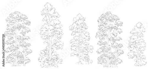 A detailed architectural drawing of a dense forest elevation, featuring a variety of deciduous and coniferous trees with intricate line work and fine textures.