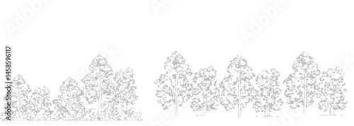 A detailed architectural drawing of a dense forest elevation, featuring a variety of deciduous and coniferous trees with intricate line work and fine textures.