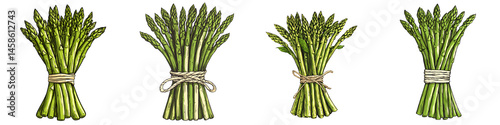 Bunches of fresh green asparagus vegetables