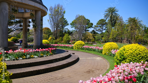宮崎県宮崎市のフローランテ宮崎の花