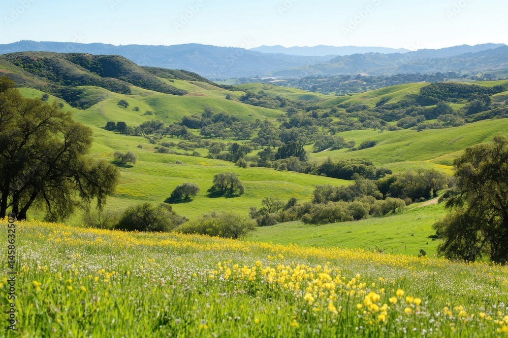 Naklejka premium Stunning Spring Landscape Rolling Green Hills Sunny Day Vibrant Wildflowers Meadow Scenery Nature 