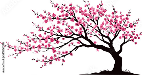 sakura tree branches silhouette design vector art illustration.
