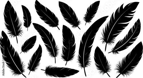 Crow feathers silhouette vector art illustration
