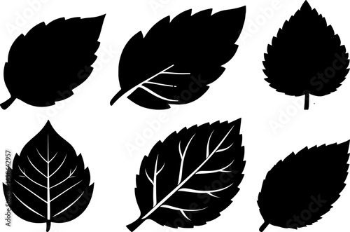 set of leaf silhouettes