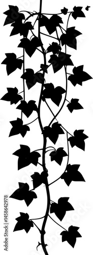 Vertical ivy plant branch silhouette vector art illustration
