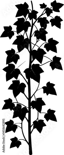Vertical ivy plant branch silhouette vector art illustration

