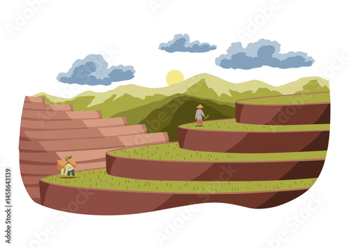 Rice fields scenery with no people. Rice plantations. Landscape with paddy fields. Vector illustration background