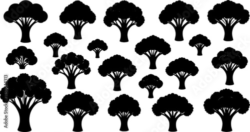silhouette of broccoli vegetable icon set vector art illustration
