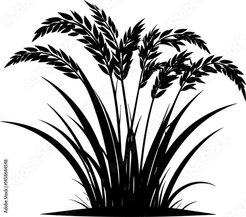 paddy plant silhouette design vector art illustration
