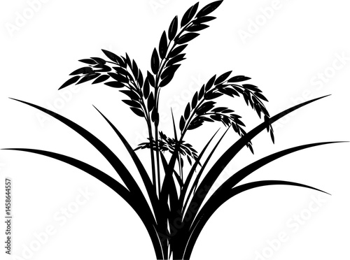 paddy plant silhouette design vector art illustration
