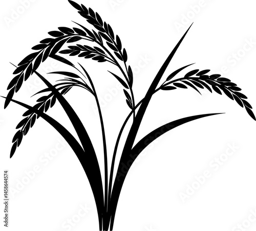 paddy plant silhouette design vector art illustration
