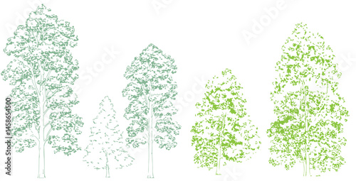 A detailed architectural drawing of a dense forest elevation, featuring a variety of deciduous and coniferous trees with intricate line work and fine textures.