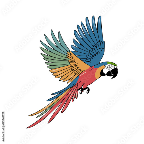 Brightly colored macaw parrot soaring on a white background