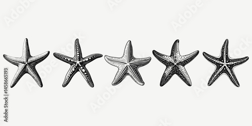 starfish set sketch illustration