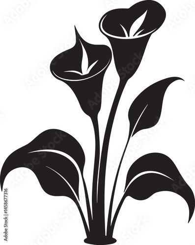 Wallpaper Mural calla lily flower silhouette, black and white silhouette, vector and illustration Torontodigital.ca