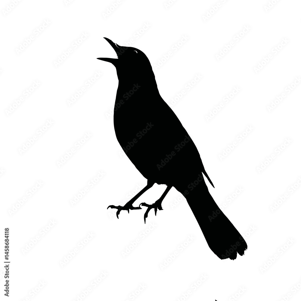 Fototapeta premium Solid black silhouette of a blackbird singing, Vector Graphic