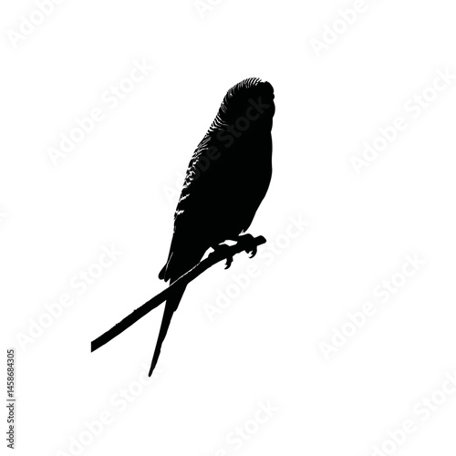 Solid black silhouette of a budgie cheerful, Vector Graphic