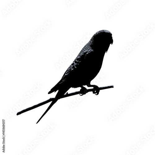 Solid black silhouette of a budgie cheerful, Vector Graphic