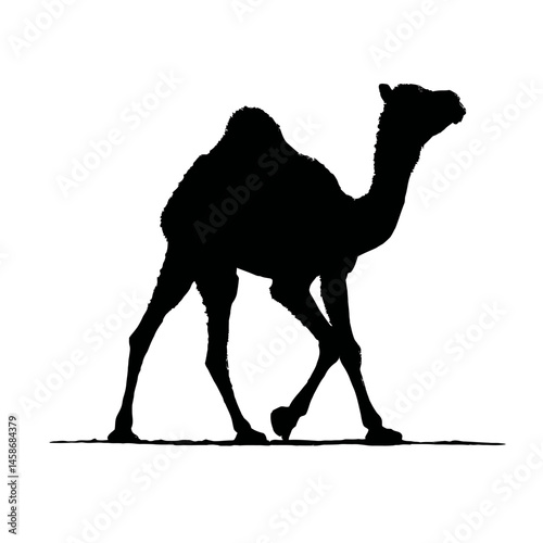 Solid black silhouette of a camel walking, Vector Graphic